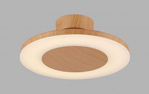 Накладной светильник Mantra 4495 фото