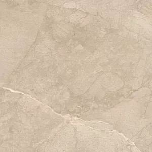 Глазурованный керамогранит Lafaenza Ceramica Blanco Blanco660BRm 60x60 фото