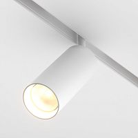 Светильник на шине Maytoni Technical TR032-2-20W3K-S-W фото