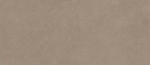 Керамогранит Atlas Concorde Boost Natural A64R Ecru 50х120 фото