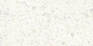 Керамогранит IRIS FMG Venice Villa P62405 Zinc nat R10 60x120 фото