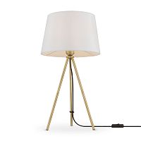 Настольный светильник Freya FR5118TL-01BS фото