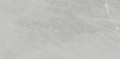 Керамогранит Ariostea Marmi Classici P612498 Gris De Savoie Soft 60x120