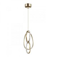 Подвесной светильник Odeon Light 4875/25L фото
