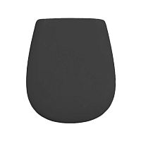 Artceram Atelier Сиденье для унитаза, микролифт, цвет: черный матовый фото