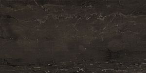 Керамогранит AEOI Marvel Absolute Brown 30x60 фото