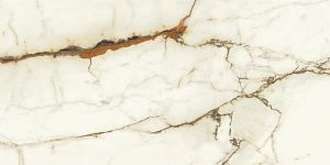 Керамогранит Atlas Concorde A5TJ Marvel Calacatta Imperiale Silk 30x60 фото