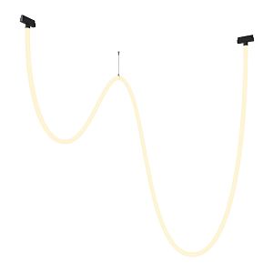 Светильник на шине Maytoni Technical TR101-2-100W3K-B фото