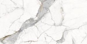 Керамогранит Ocean-Ceramic Vienna Calcutta 4.8mm 60х120 фото