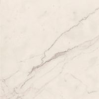 Керамогранит Lafaenza Ceramica Trex 60W LP White 60x60 фото