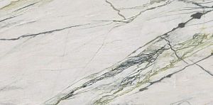 Керамогранит Ariana PF60009344 Epoque 21 Calacatta Bamboo Lapp Ret 60x120 фото