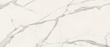 Плитка fPQE Roma Diamond Statuario Brillante Rt 50x120 фото