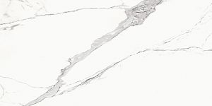 BIEN Statuario Goya 120x60 белый полированная фото