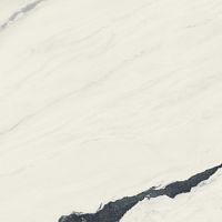 Керамогранит 610015000648 Forte dei Marmi Panda White Lapp 80x80 фото