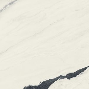 Керамогранит 610015000648 Forte dei Marmi Panda White Lapp 80x80 фото