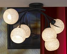 Накладная люстра Lussole LSF-6283-06 фото