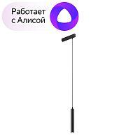Светильник на шине Denkirs DK8008-BK фото