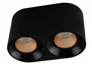 Накладной светильник Denkirs DK3096-BK+BR фото