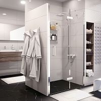 Wasserkraft Aller 10H05RWHITE Душевая дверь фото