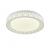 Накладной светильник F-Promo 2314-5C фото