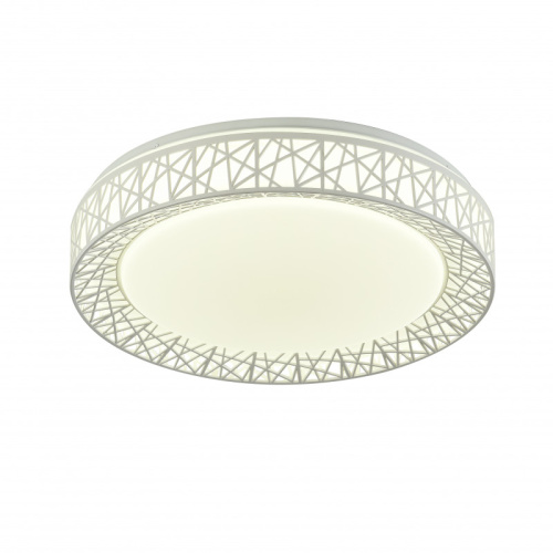 Накладной светильник F-Promo 2314-5C