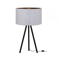 Настольная лампа LOFT IT 1700-TBK+SWH фото