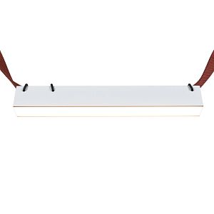 Светильник на шине Denkirs DK5574-WH фото