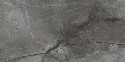 BIEN Root Silver 120x60 серый полированная фото 4