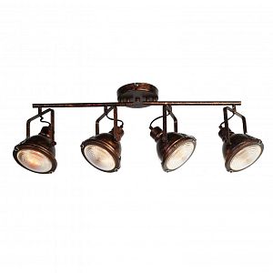 Спот Favourite 1898-4C фото