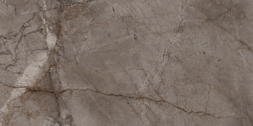 BIEN Root Ash 120x60 серый полированная фото 2