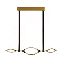 Подвесная люстра Odeon Light 4995/40L фото