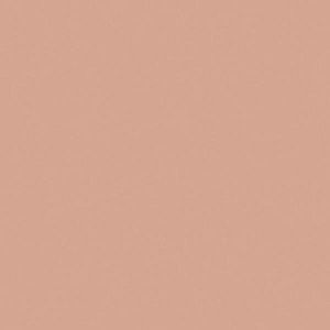 Керамогранит Equipe Bauhome 27681 Rose 20x20 фото