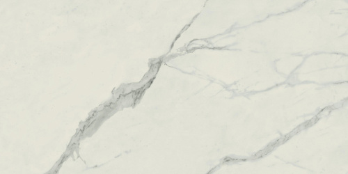 Керамогранит 610010002184 Empire Statuario 60x120