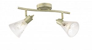 Спот Favourite 1794-2U фото