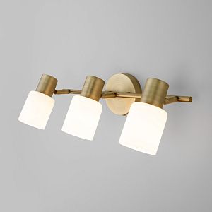 Спот Eurosvet 20089/3 бронза фото