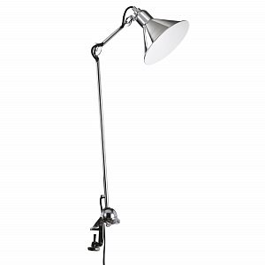 Настольная лампа Lightstar 765924 фото