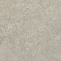 Керамогранит Creto 8167 Shell BG 60х60 фото