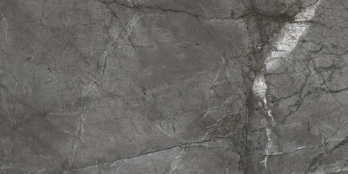 BIEN Root Silver 120x60 серый полированная фото 5