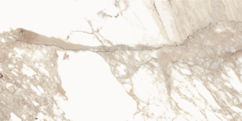 BIEN Calacatta Oro 120x60 бежевый полированная фото 10