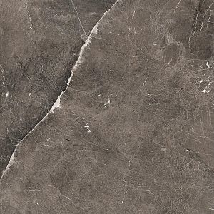 Керамогранит Rex Ceramiche Heritage Luxe 774839 Brown Glossy 6mm 120x120 фото