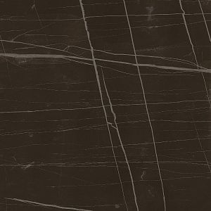 Керамогранит Lafaenza Ceramica Trex 60N RM Black 60x60 фото