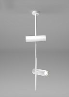 Потолочный светильник Maytoni Technical C021CL-02W фото