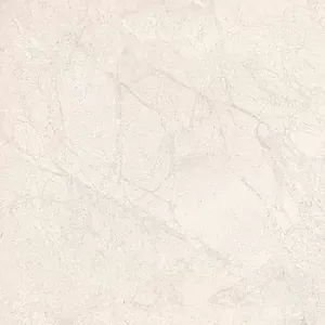 Глазурованный керамогранит Lafaenza Ceramica Blanco Blanco660WRm 60x60 фото