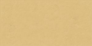 Плитка ABK Wide&Style Mini PF60008231 Ginger Ret 60x120 фото