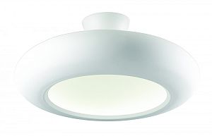 Накладной светильник Favourite 1526-12U фото