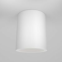 Потолочный светильник Maytoni Technical C001CW-01W фото