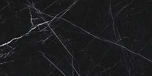 Керамогранит Ariostea Marmi Classici PL612547 Nero Marquine Lucidato 120x60 фото