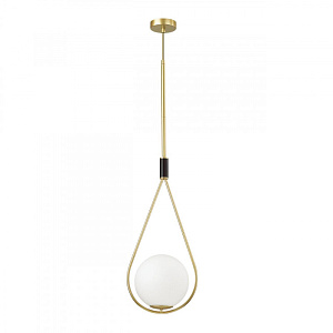 Подвесной светильник Odeon Light 4810/1A фото