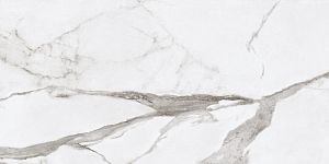 Керамогранит Ariana PF60004974 Epoque White Statuario Lap 60x120 фото