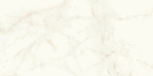 Atlas Concorde Marvel Shine Керамогранит неглазурованный Calacatta Delicato 60x120 натуральный фото